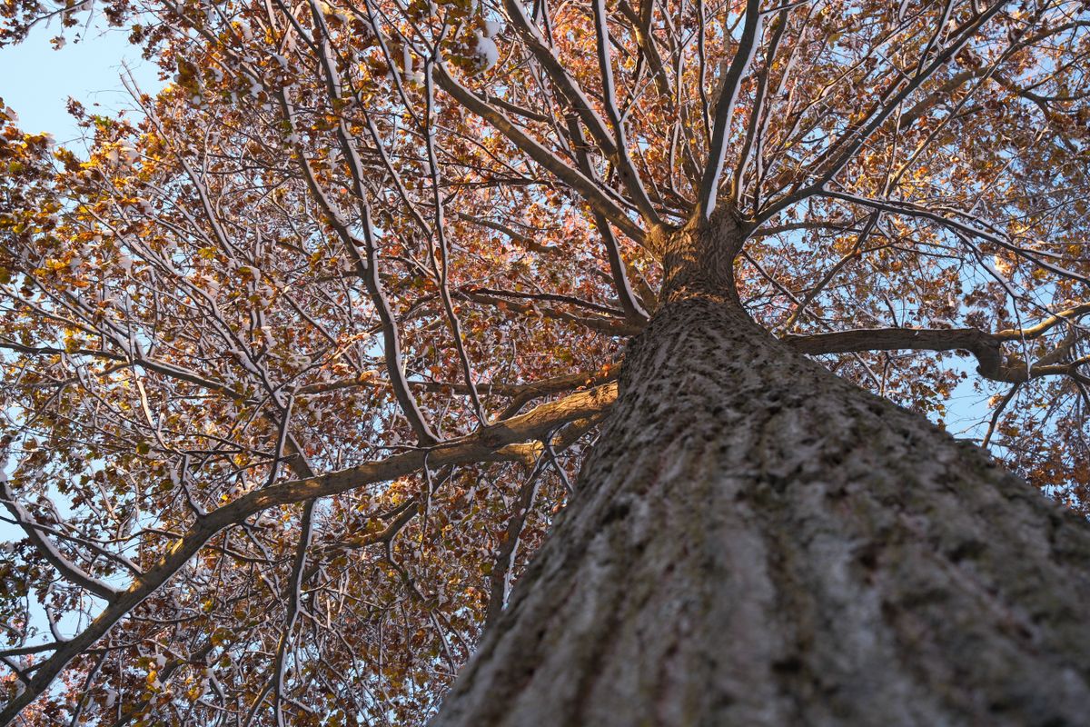 A photograph taken with the Fujifilm XF 23mm f/2.8 R WR and the X-E5