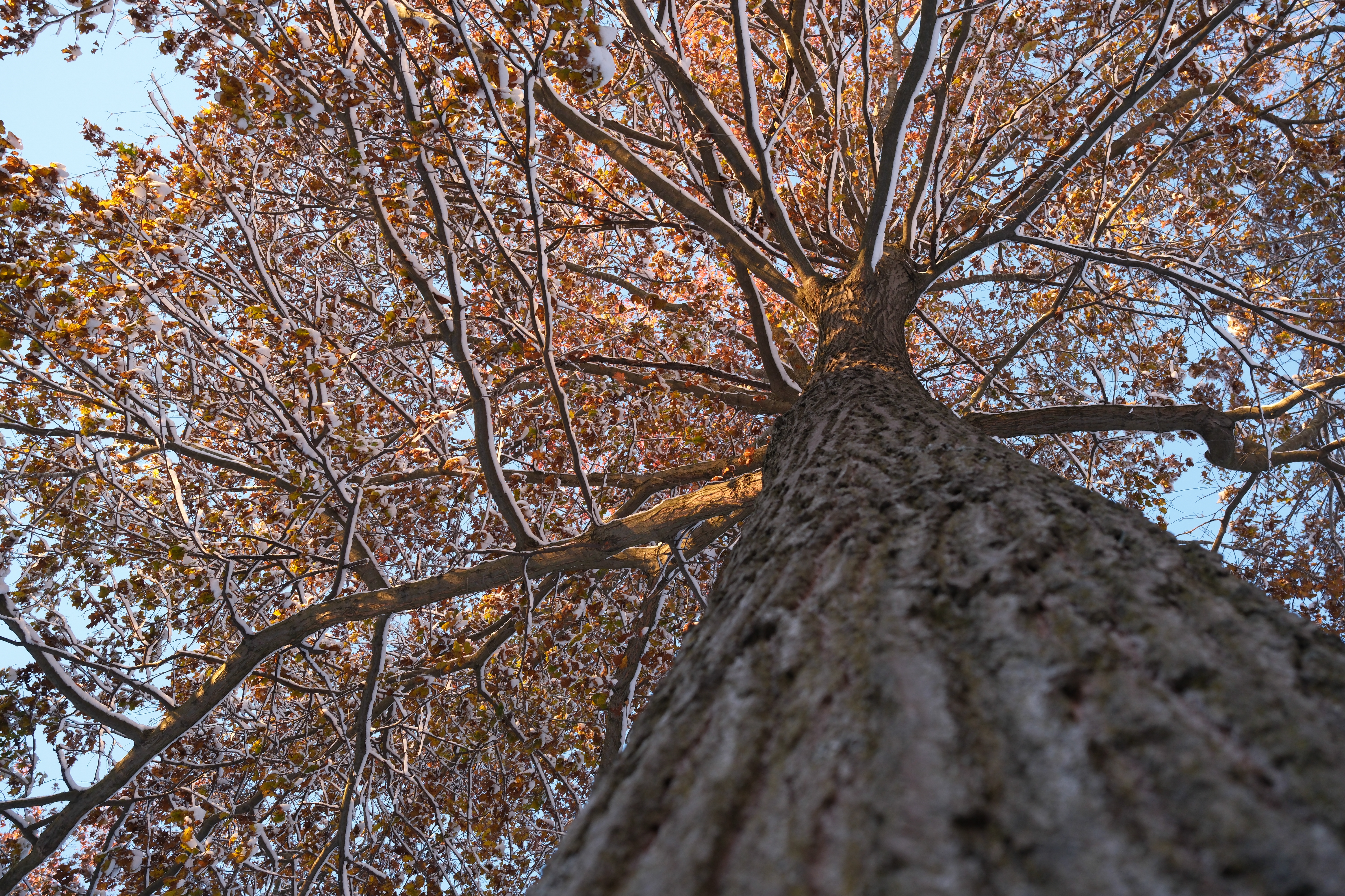 A photograph taken with the Fujifilm XF 23mm f/2.8 R WR and the X-E5