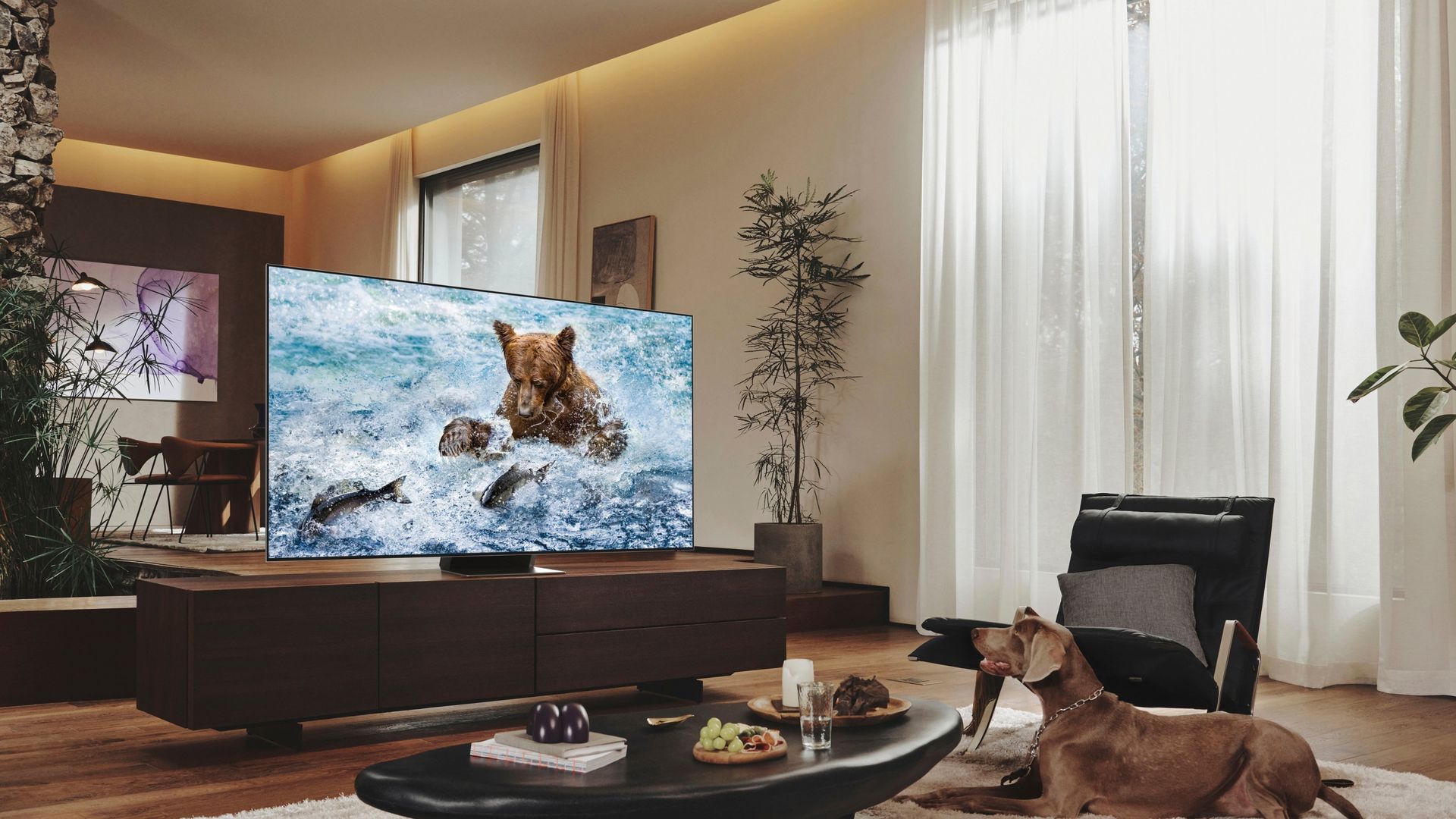 Samsung vs Sony TV: Which Brand is the Best in 2025? | Livingetc