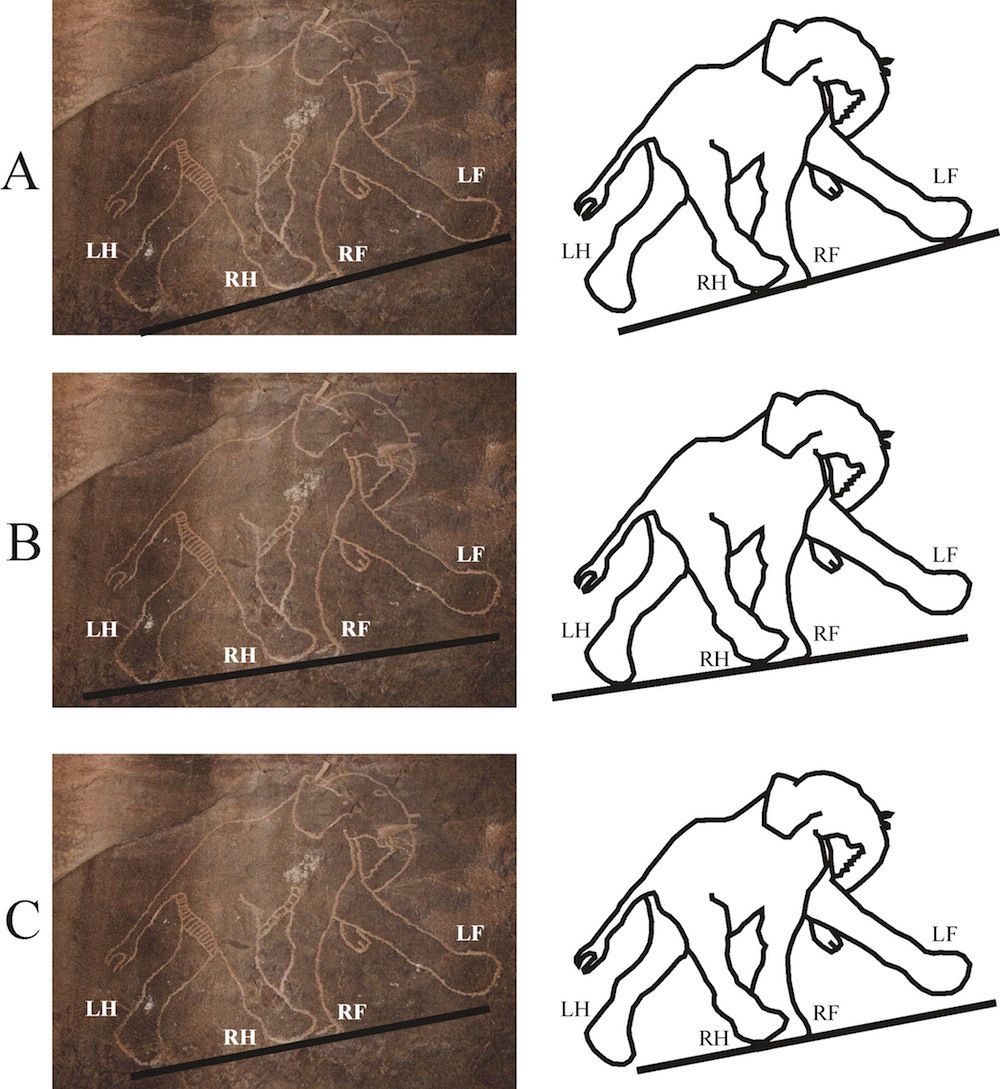 Incorrect prehistoric lion cave painting