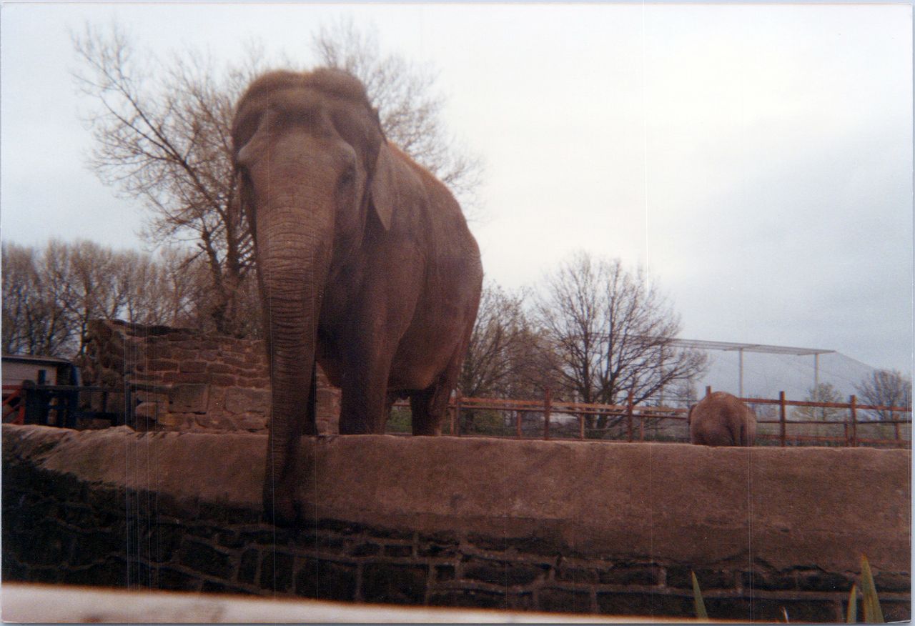 old scanned 6x4 photo prints