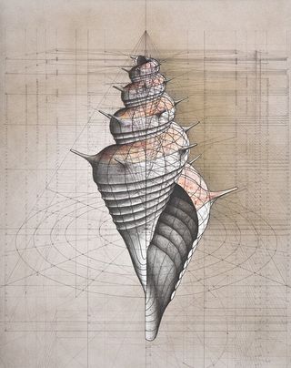 Golden Ratio colouring book