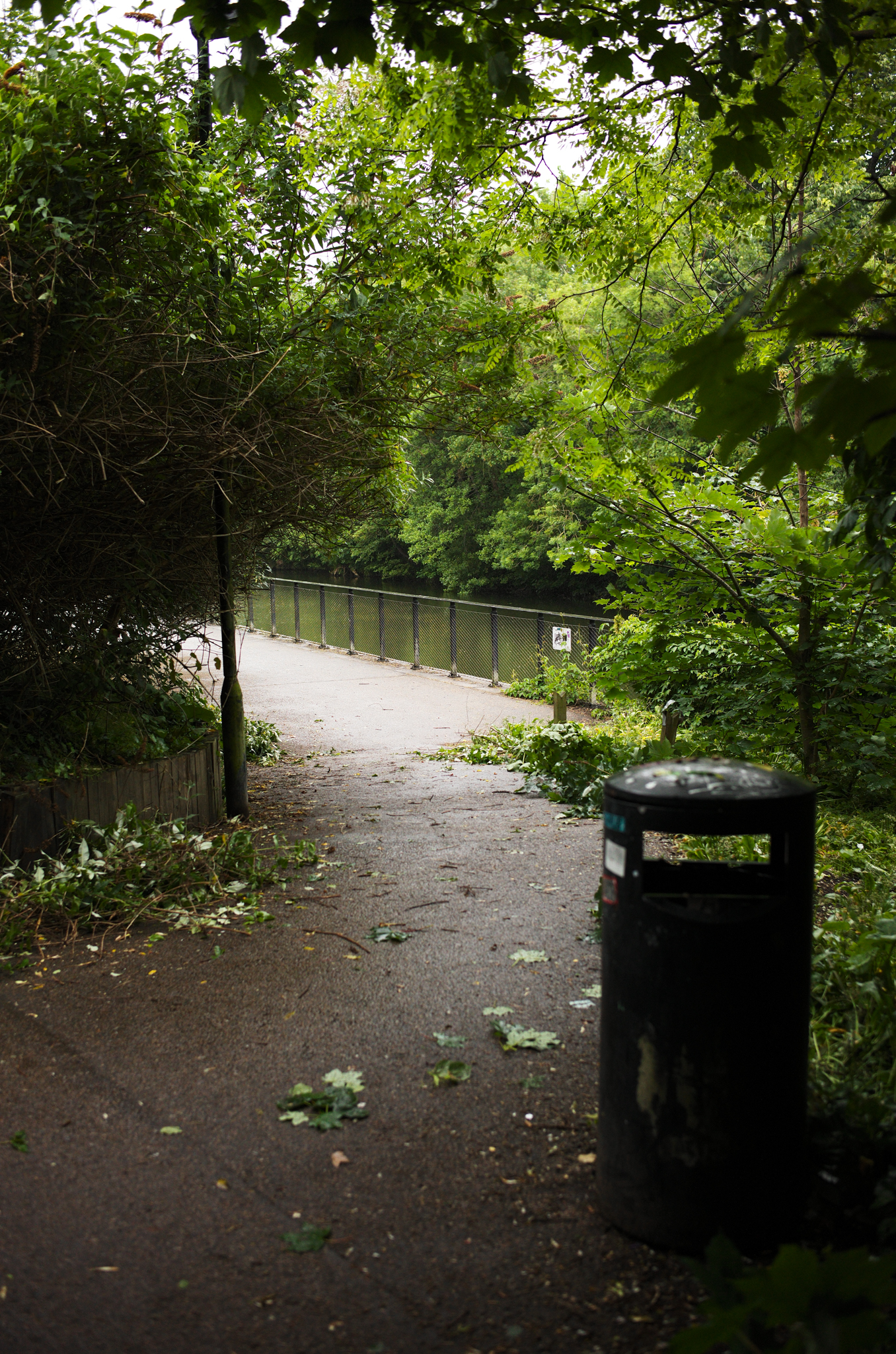 A photo of a path taken on a Leica M11-D rangefinder camera