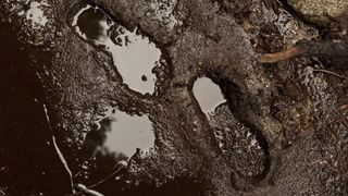 Footprints in the mud