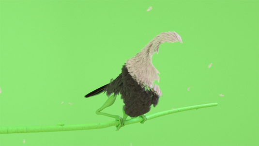 3D bird animation