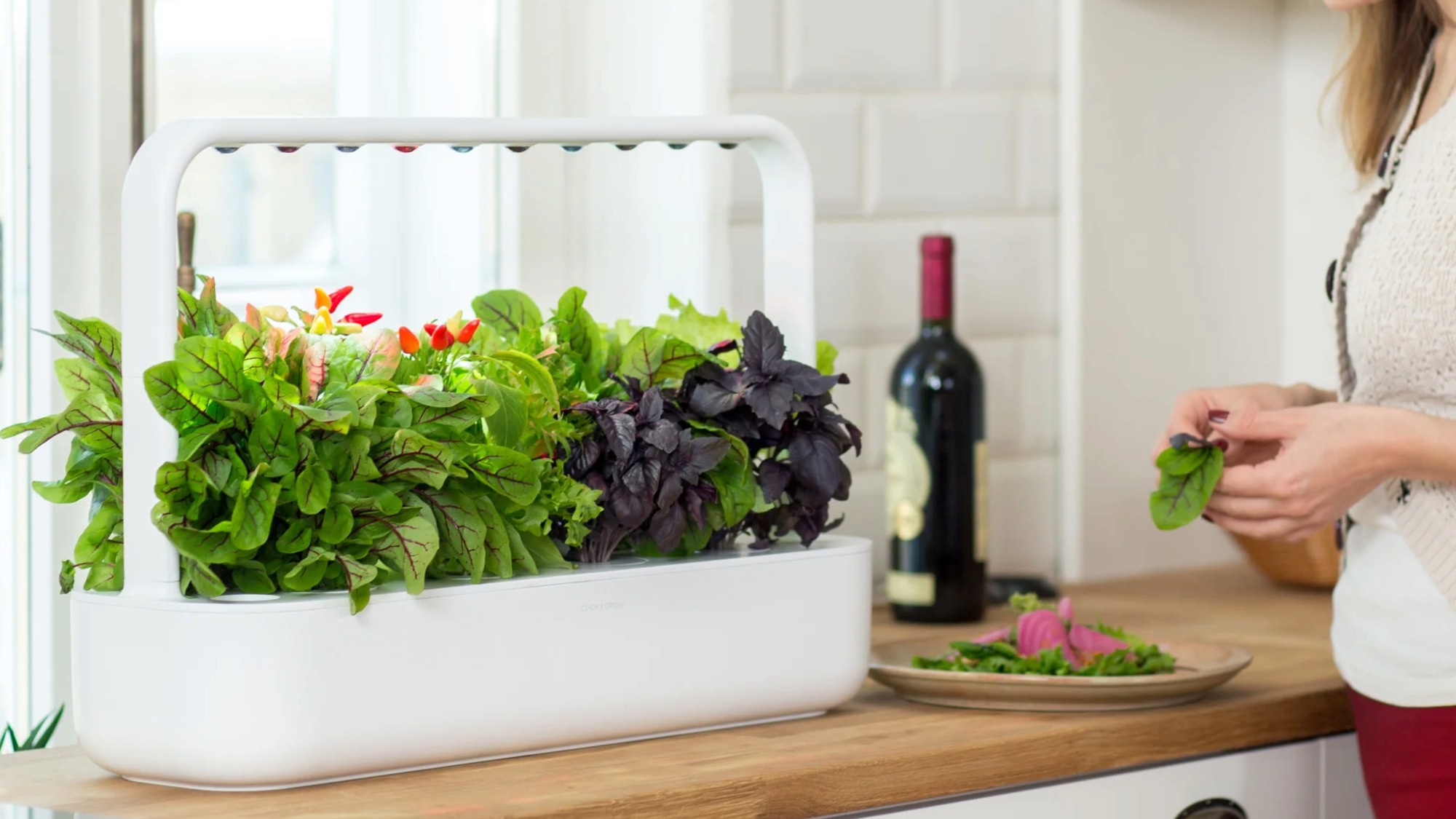 Smart Garden 9 grow kit sits on kitchen counter