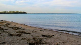 Tannery Beach, Michigan