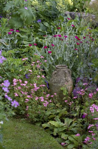 how to plan a cottage garden planter in a border