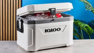 the igloo marine ultra 54 cooler in white with a latch, handles, a big igloo logo on the front and with a fish ruler and drink holders