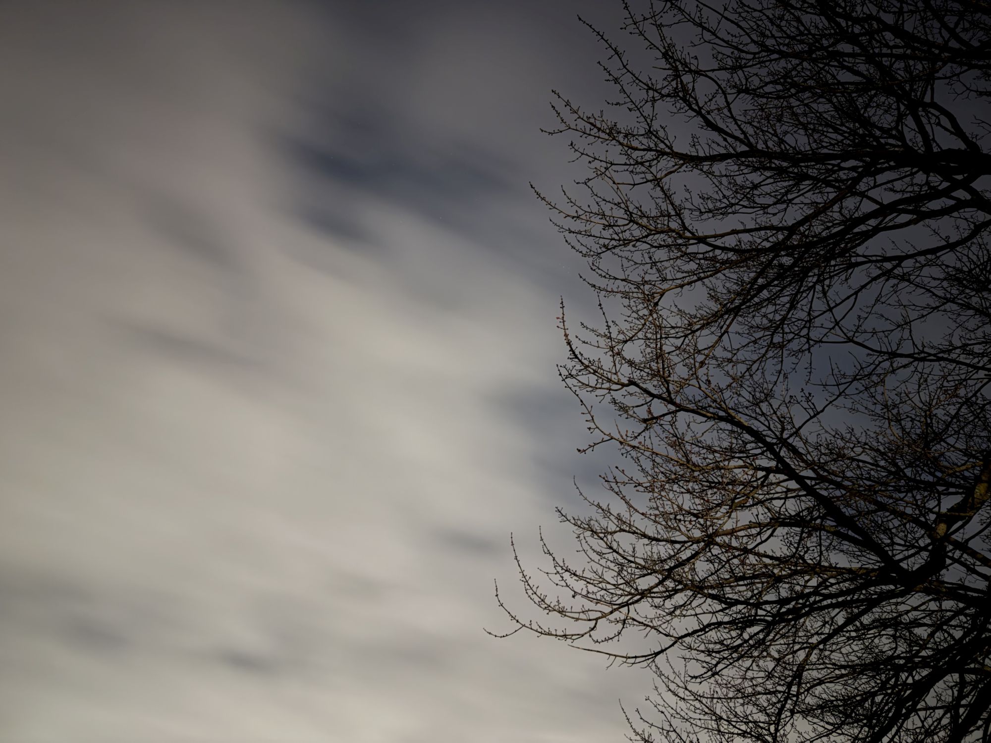 iPhone night mode max sample.