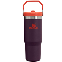 Stanley IceFlow Water Bottle