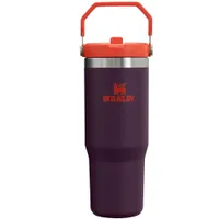 Stanley IceFlow Water Bottle