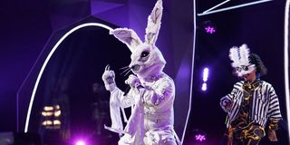 the masked singer rabbit fox