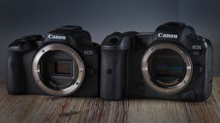Canon EOS R50 next to Canon EOS R5