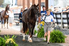 Bluefields-Floreno_WEG18_PN18_103136.jpg
