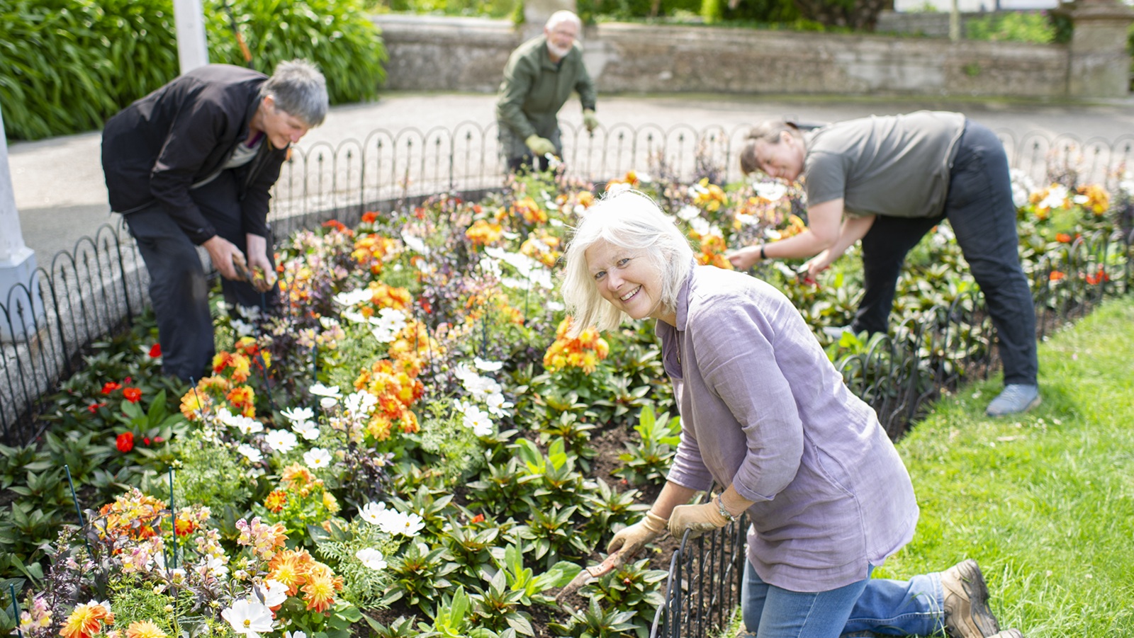 A retired person working in a garden with co-workers.