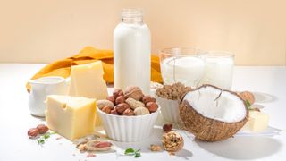 dairy products containing saturated fat