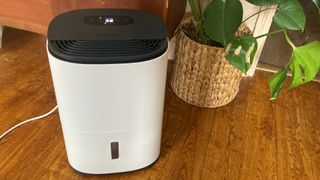 testing Meaco dehumidifier at home to qualify for our pick of the best dehumidifiers