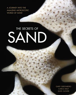 "The Secrets of Sand" by Gary Greenberg, Carol Kiely & Kate Clover. This 120-page, 10,000-word picture book combines art and science to inspire human imagination.