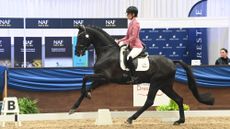 Charlotte Dujardin in a pink jacket riding Secret Agent in a medium test at the Winter Dressage Championships