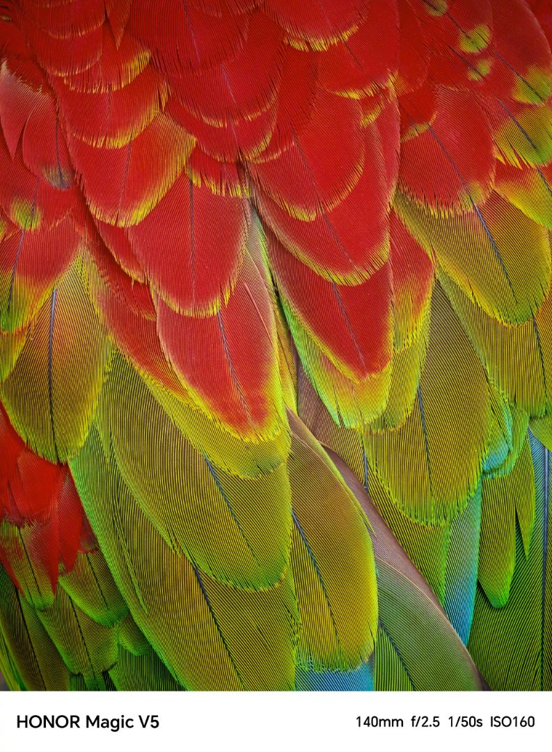 Honor Magic V5 photo samples