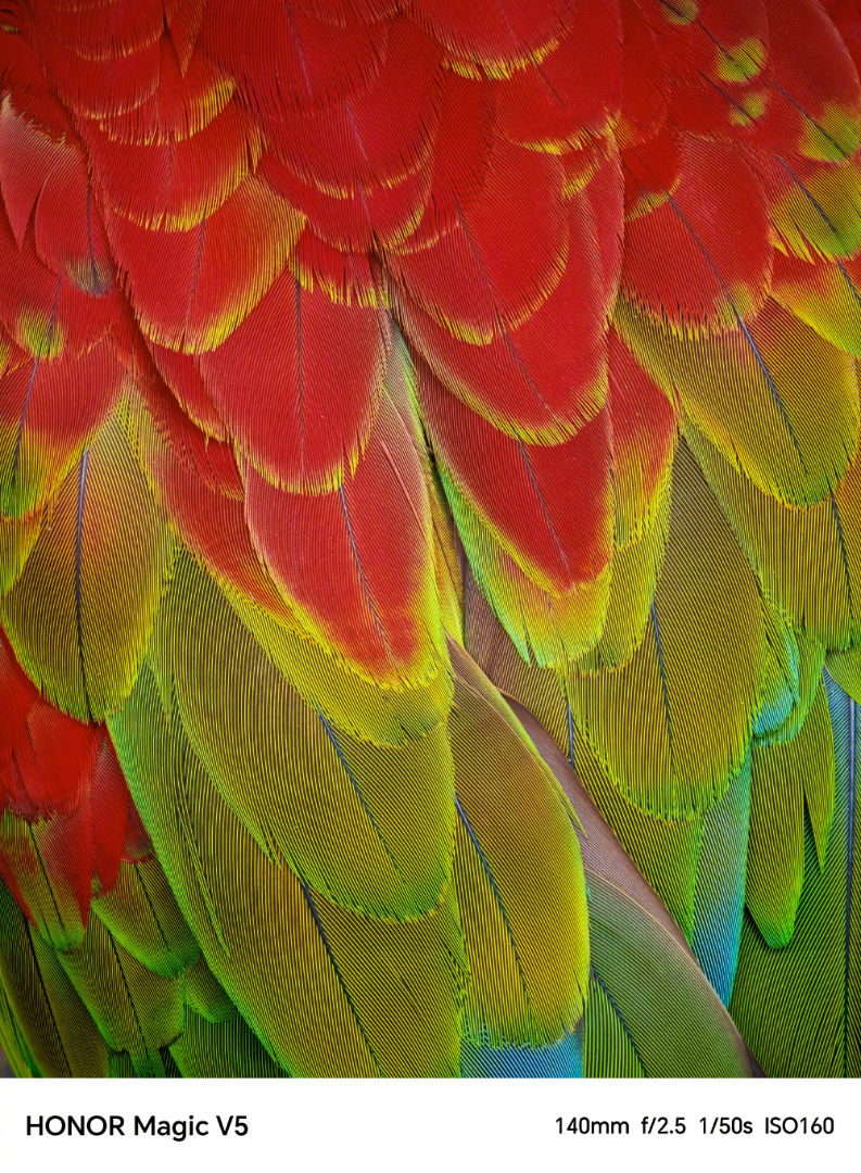 Honor Magic V5 photo samples