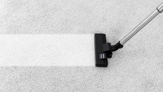 A vacuum cleaner head leaving a clean streak across the carpet