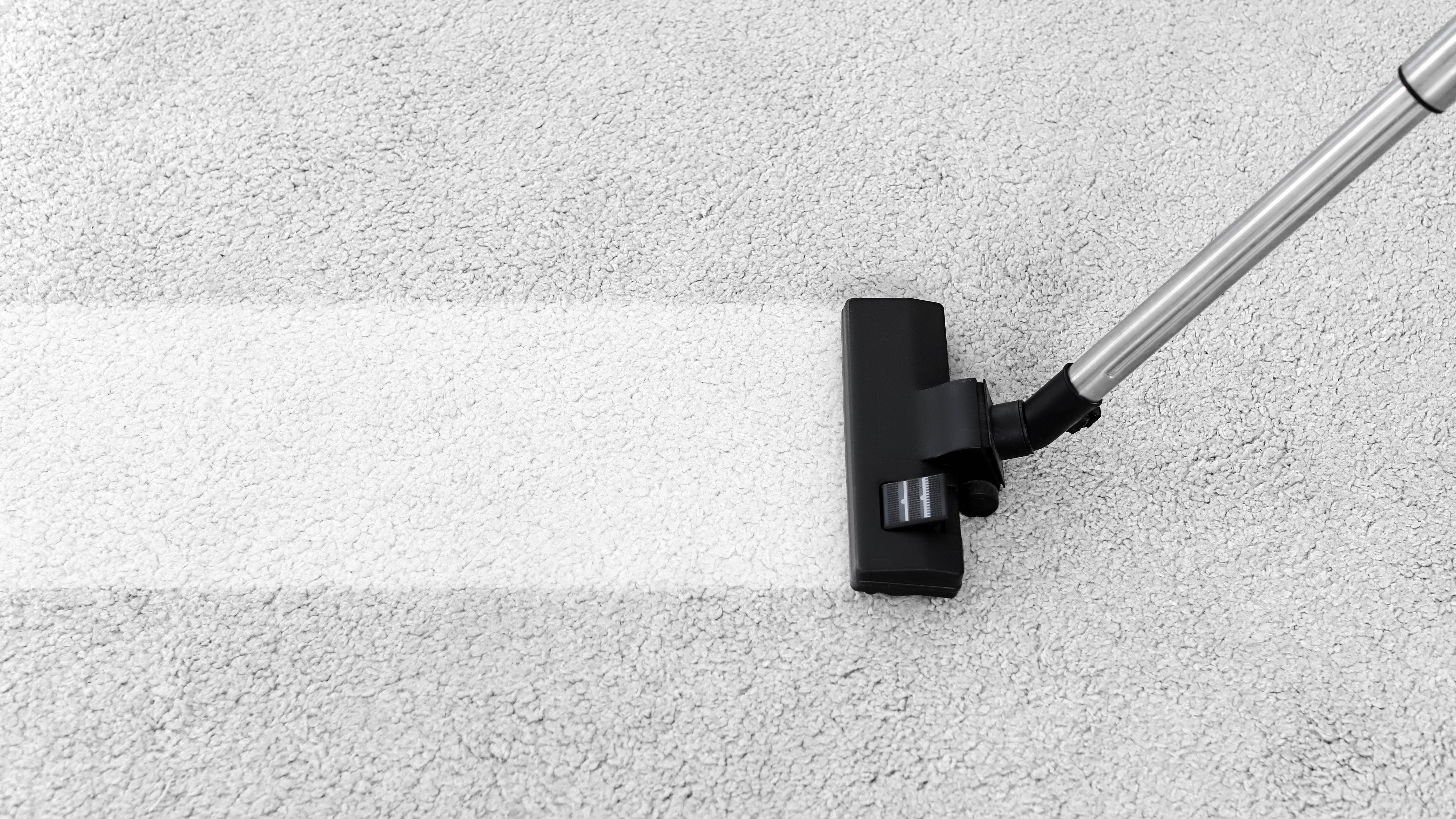 A vacuum cleaner head leaving a clean streak across the carpet