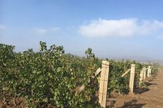 ningxia 2017, helan mountain