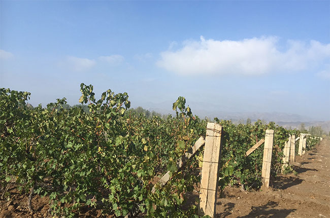 ningxia 2017, helan mountain