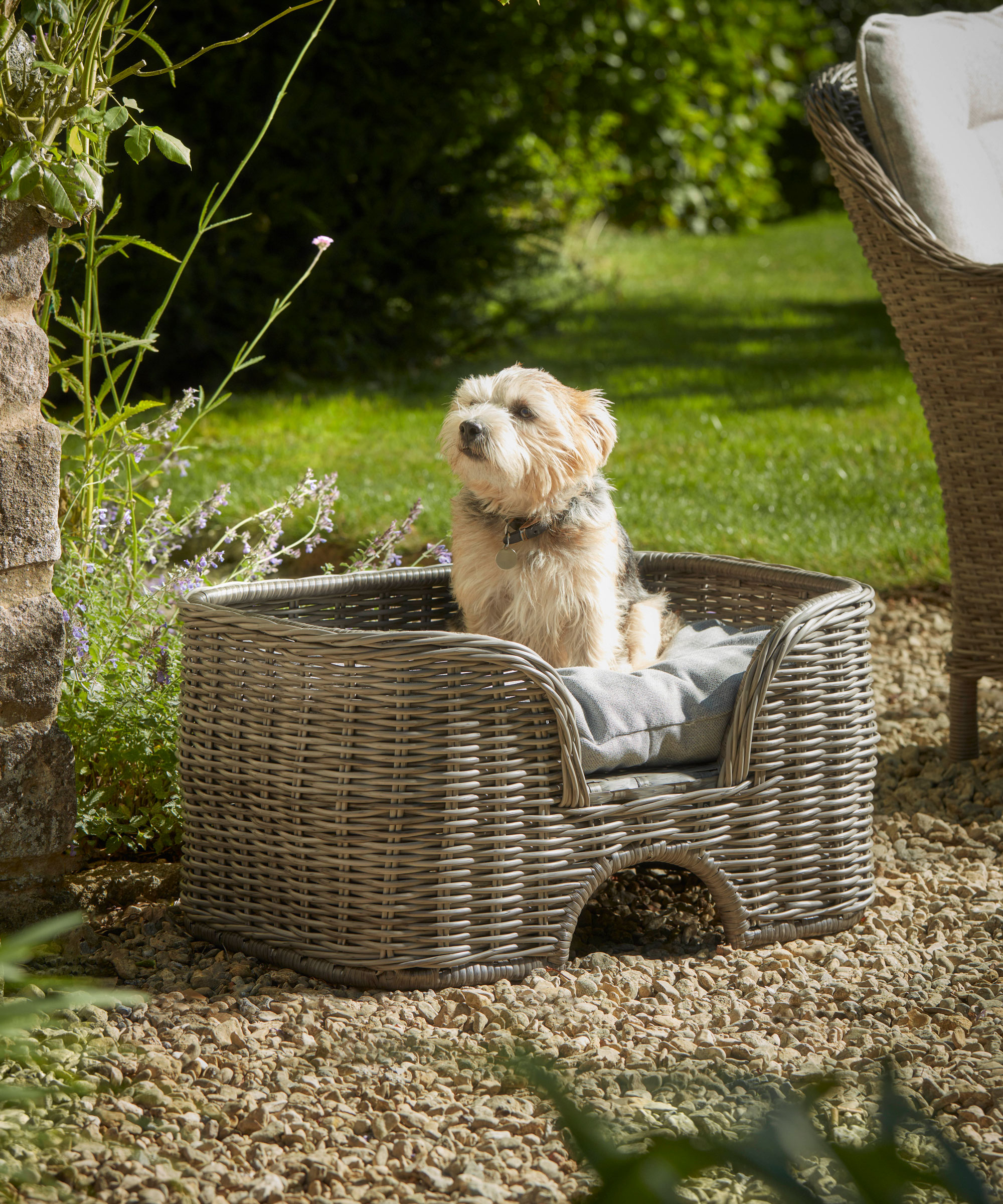 Cox & Cox pet bed in the garden