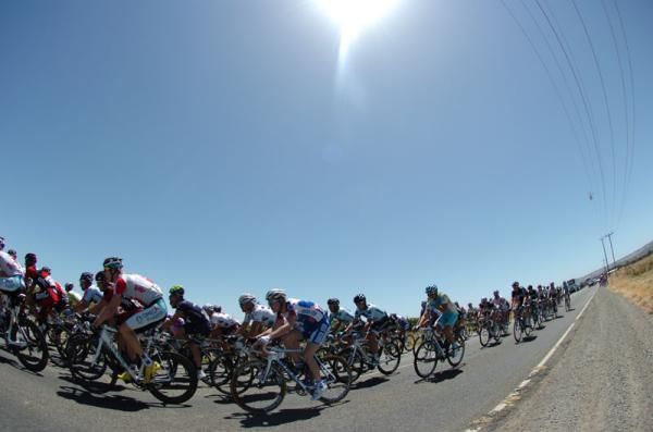 The peloton at the Santos Tour Down Under