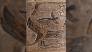 Images of hybrid animals were revealed in better detail during the cleaning and restoration work. Here we see a bird-like creature with four wings, a dog-like head, and a snake for a tail. There are also two winged serpents flying about and one snake-like creature at the bottom.
