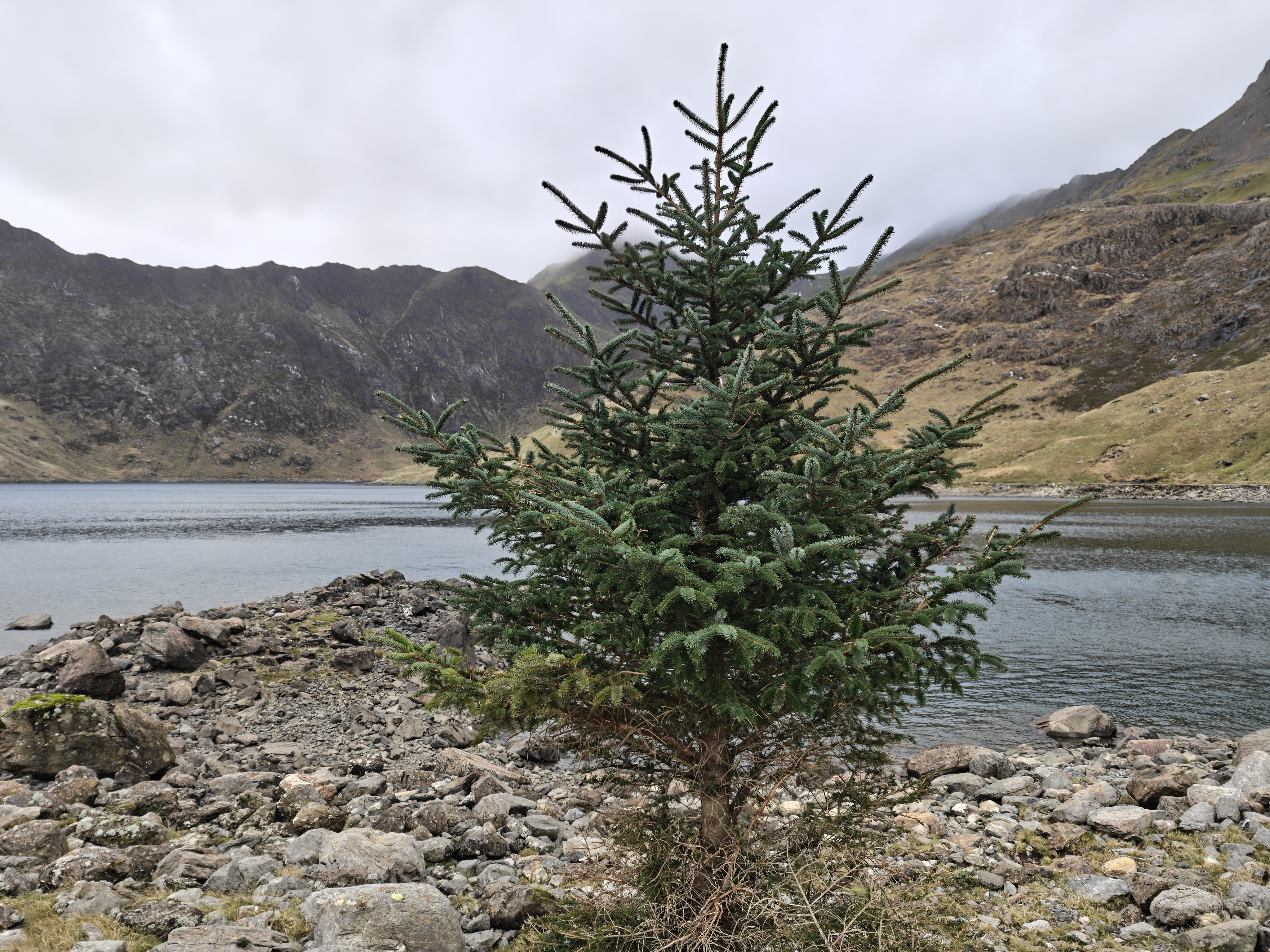 A camera sample captured on the Nothing Phone 3.