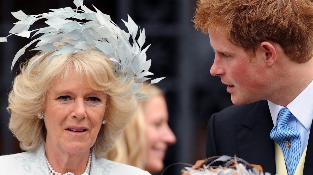 Camilla, Duchess of Cornwall and Prince Harry attend the wedding of Peter Phillips and Autumn Kelly at St. George&#039;s Chapel on May 17, 2008 in Windsor, England.