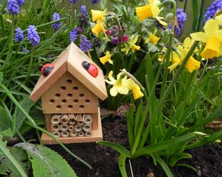 make your own insect house, £11.95, Annabel James