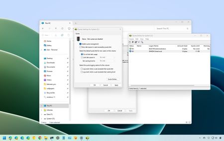 Windows 11 Disk Quotas settings