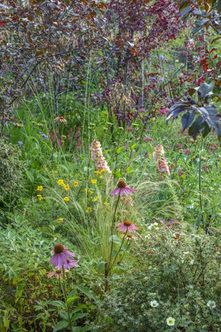 planting in a cottage garden