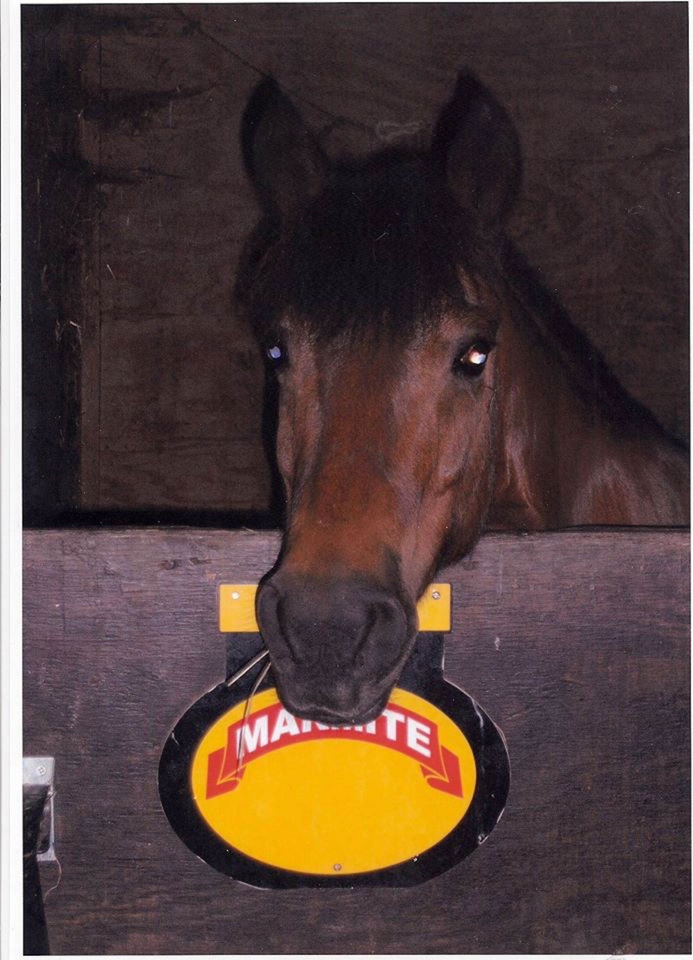 Marmite2