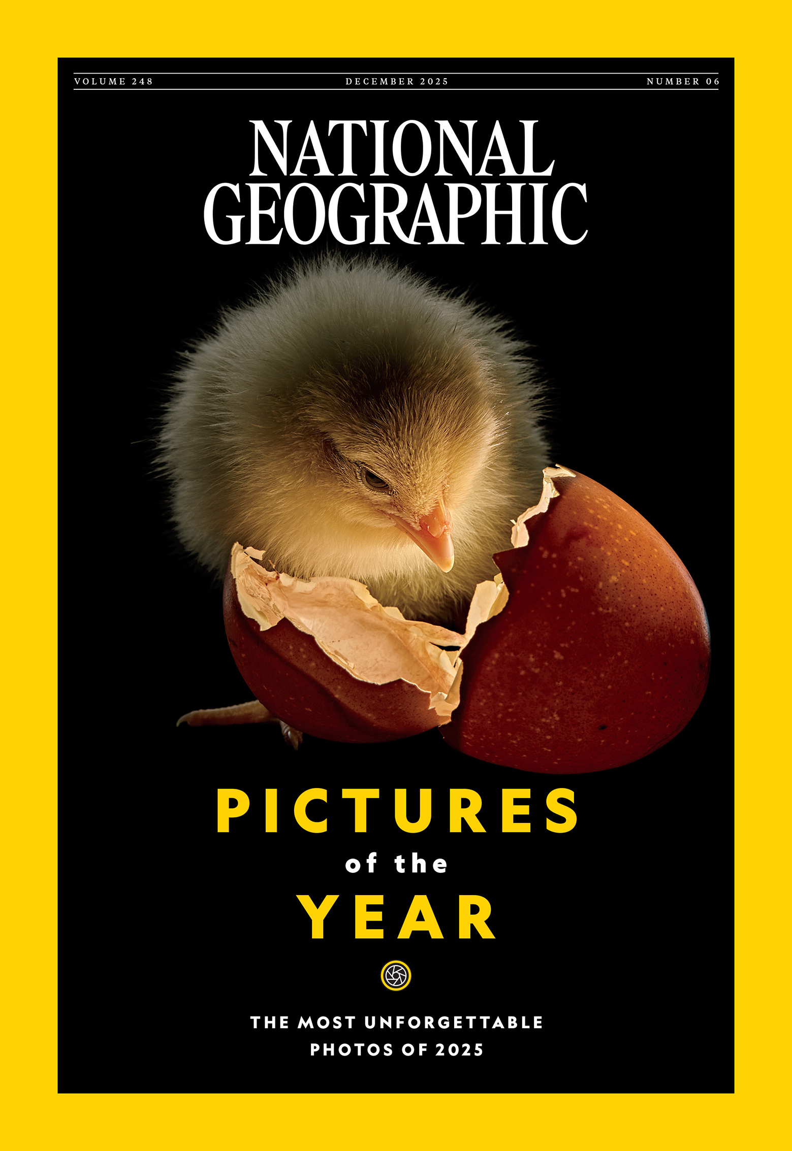 Cover of National Geographic, December 2025, featuring a chick emerging from a cracked egg against a vibrant yellow background