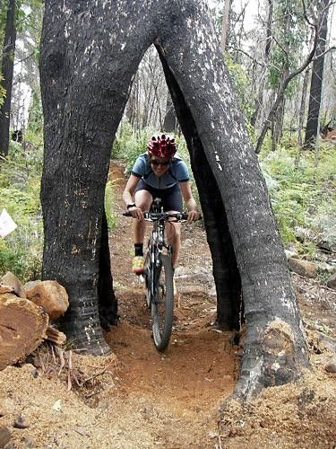 Klein designs singletrack