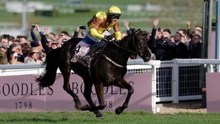 Cheltenham racing festival 2024 day four: Paul Townend on Galopin Des Champs crosses the finishing line for victory in the Gold Cup