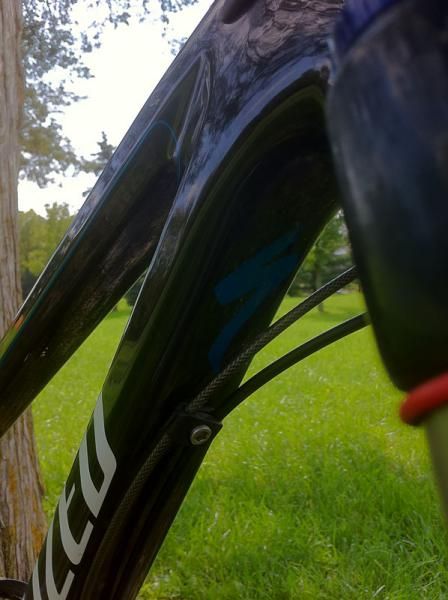 A blue S hidden under the down tube