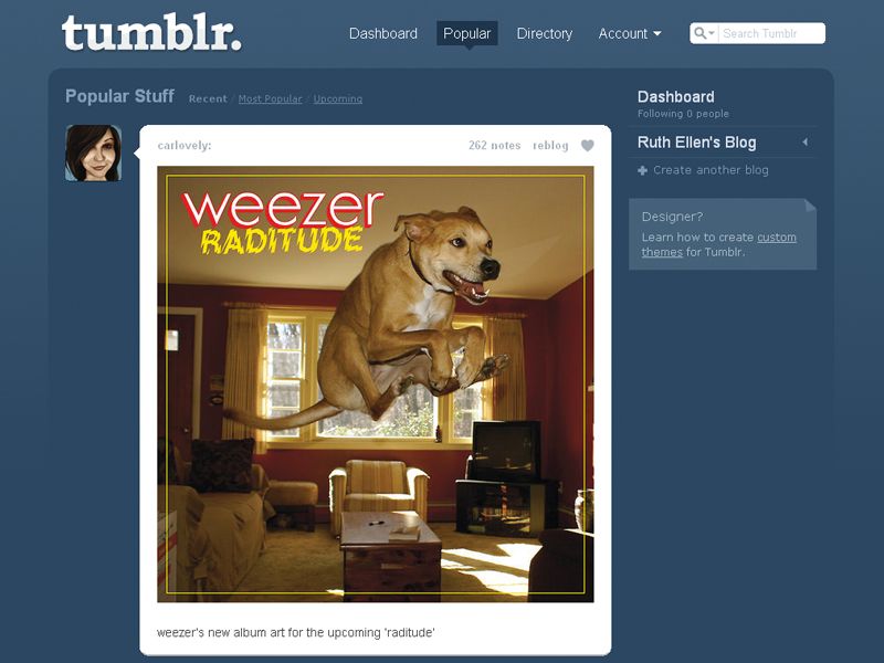 Tumblr: A Flexible Social Media Platform –