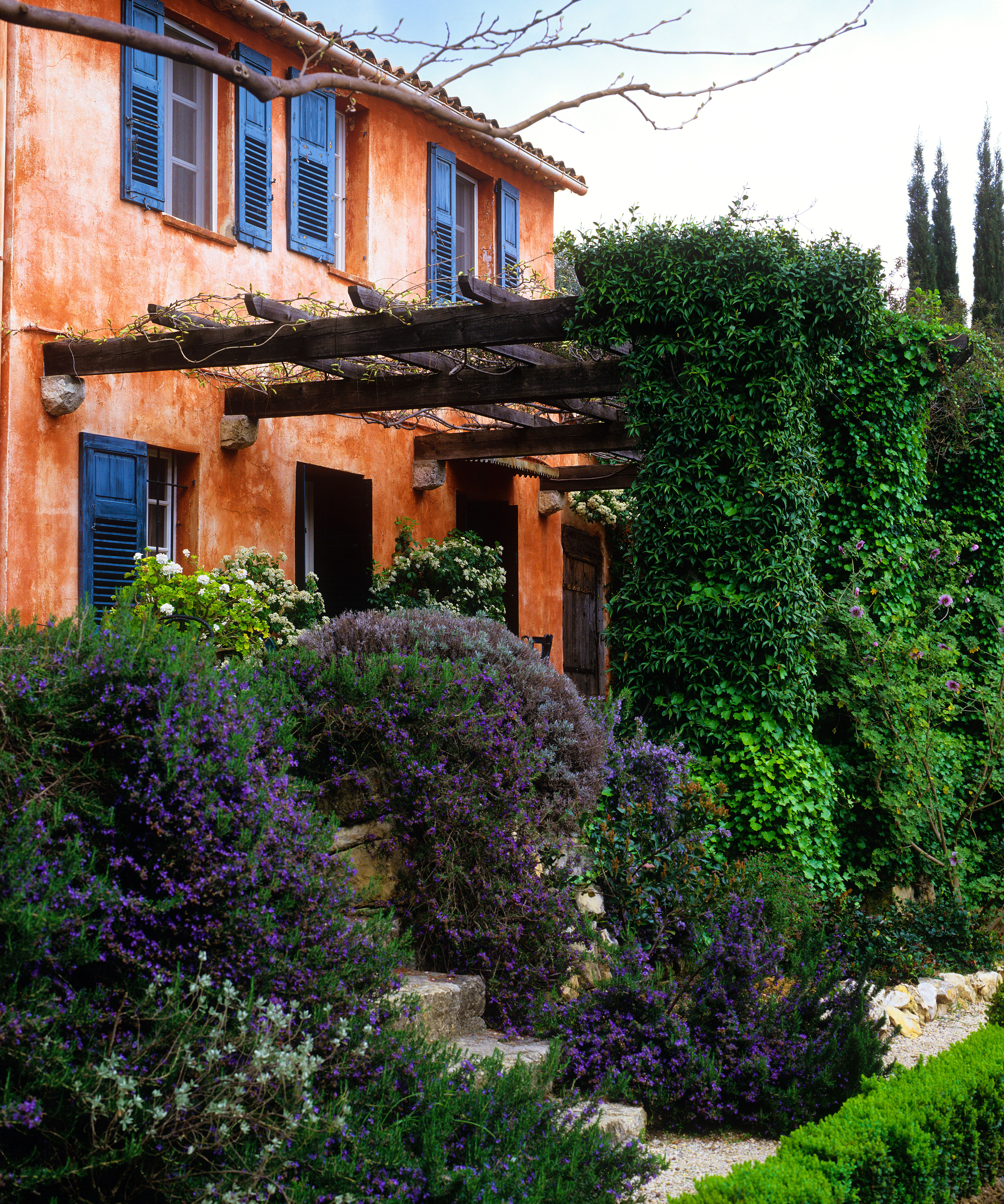 mediterranean garden with pergola covered in climbing plants