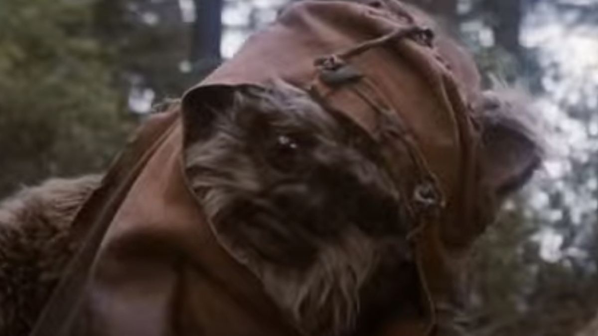 Wicket from Star Wars: Return of the Jedi