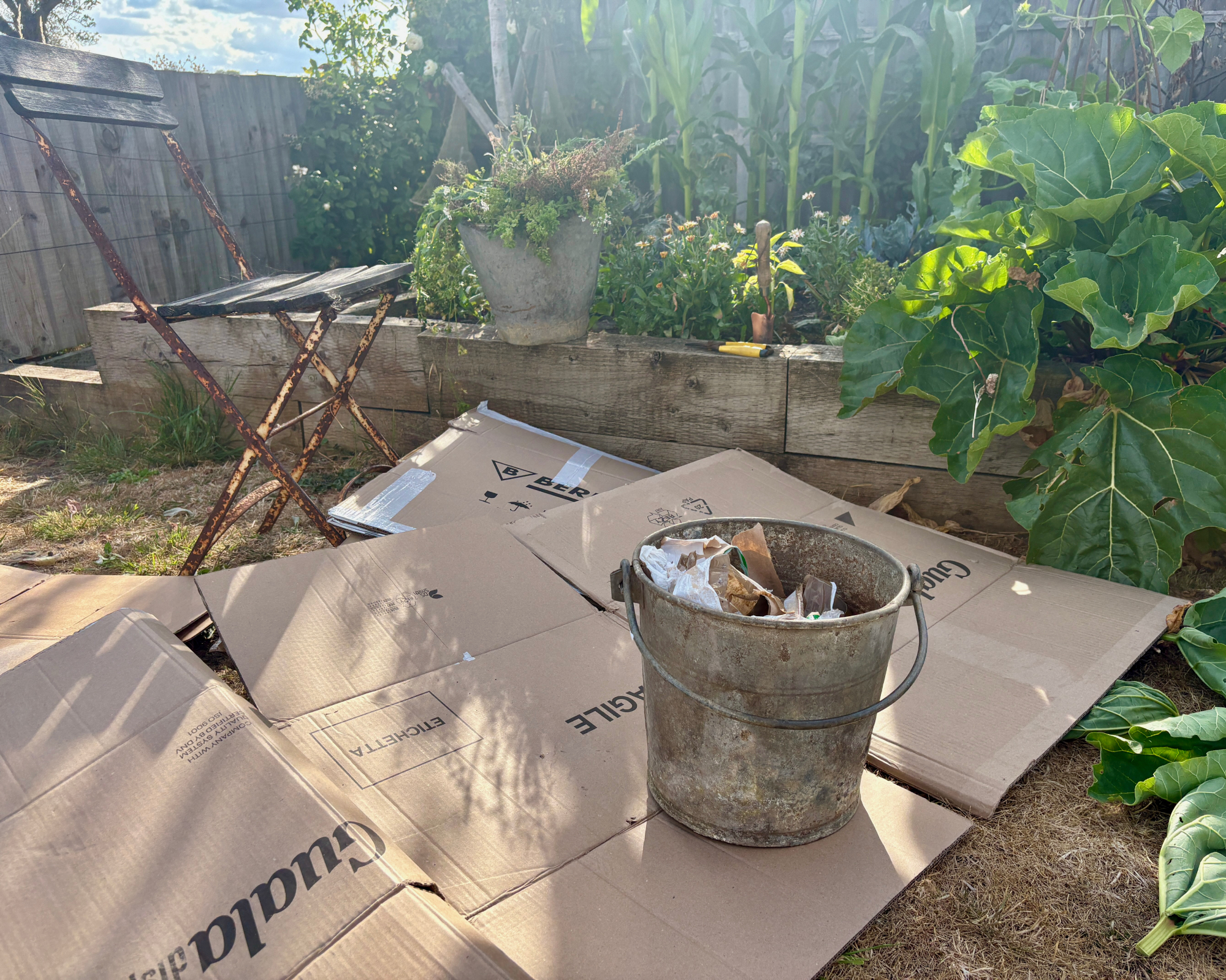 Using cardboard to mulch a raised bed of vegetables