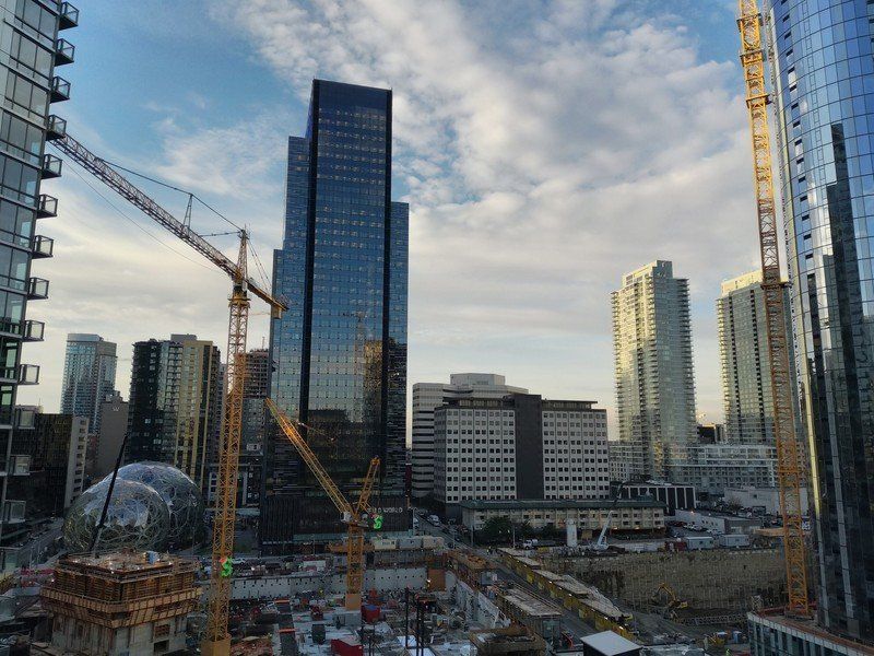 Essential Phone camera sample