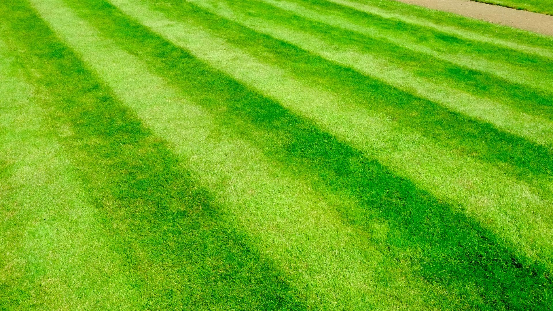 How to stripe your lawn and make it look bigger Tom's Guide