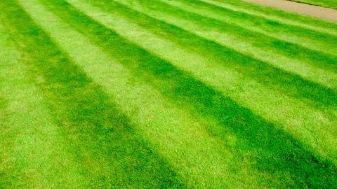 How To Stripe Your Lawn And Make It Look Bigger | Tom's Guide